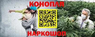 стаф Тулун