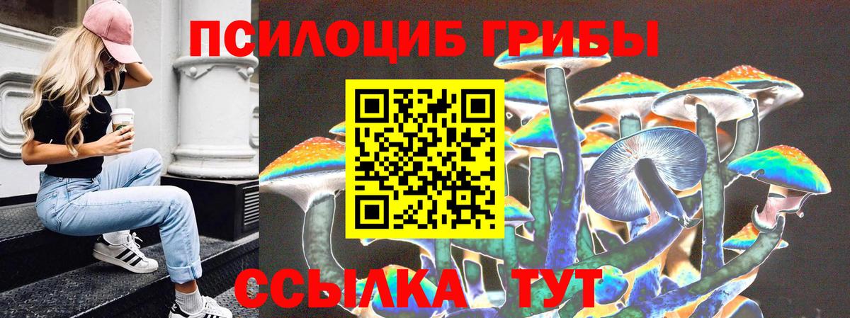 Галлюциногенные грибы Magic Shrooms Торжок
